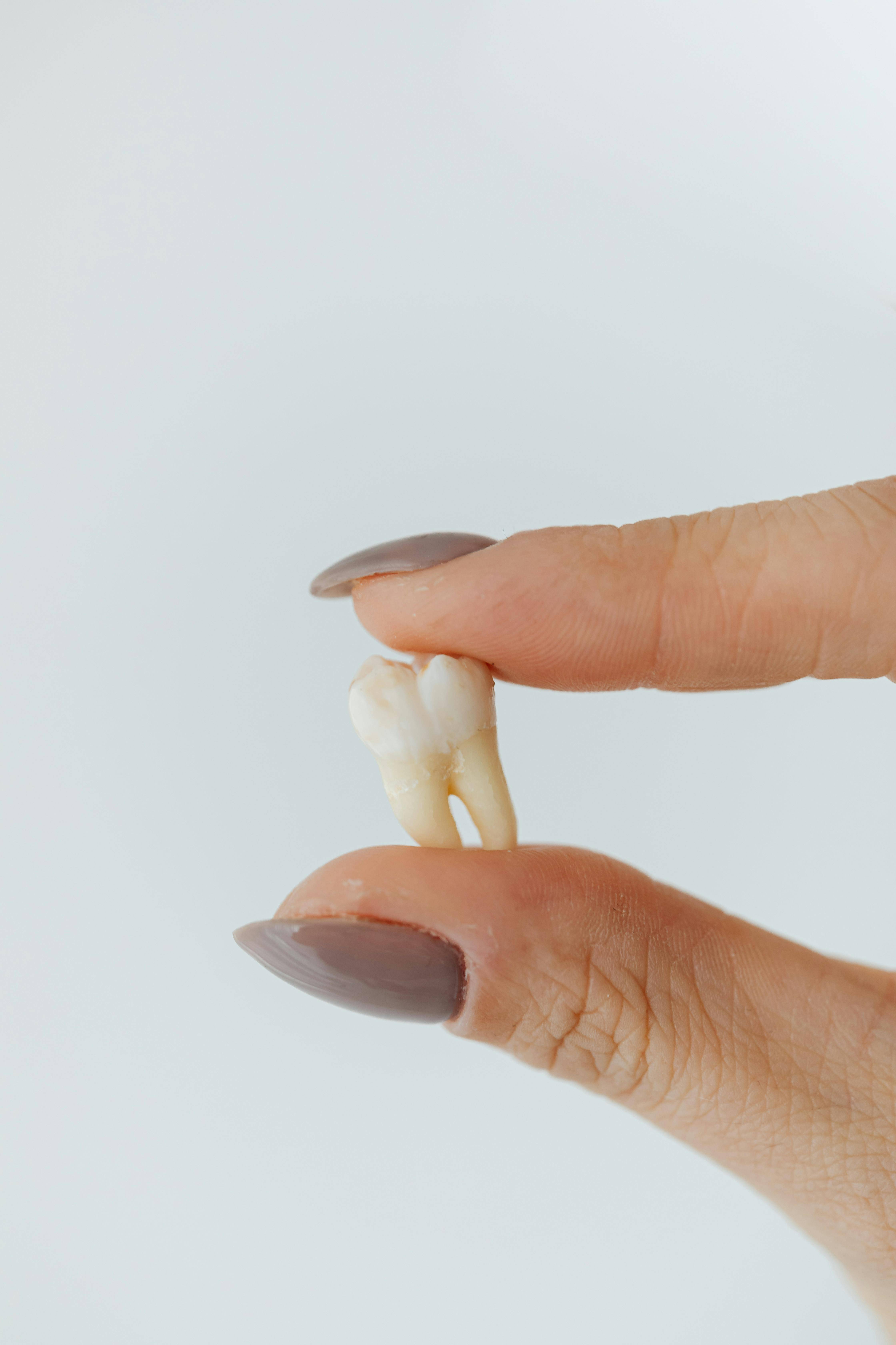 Person holding a tooth