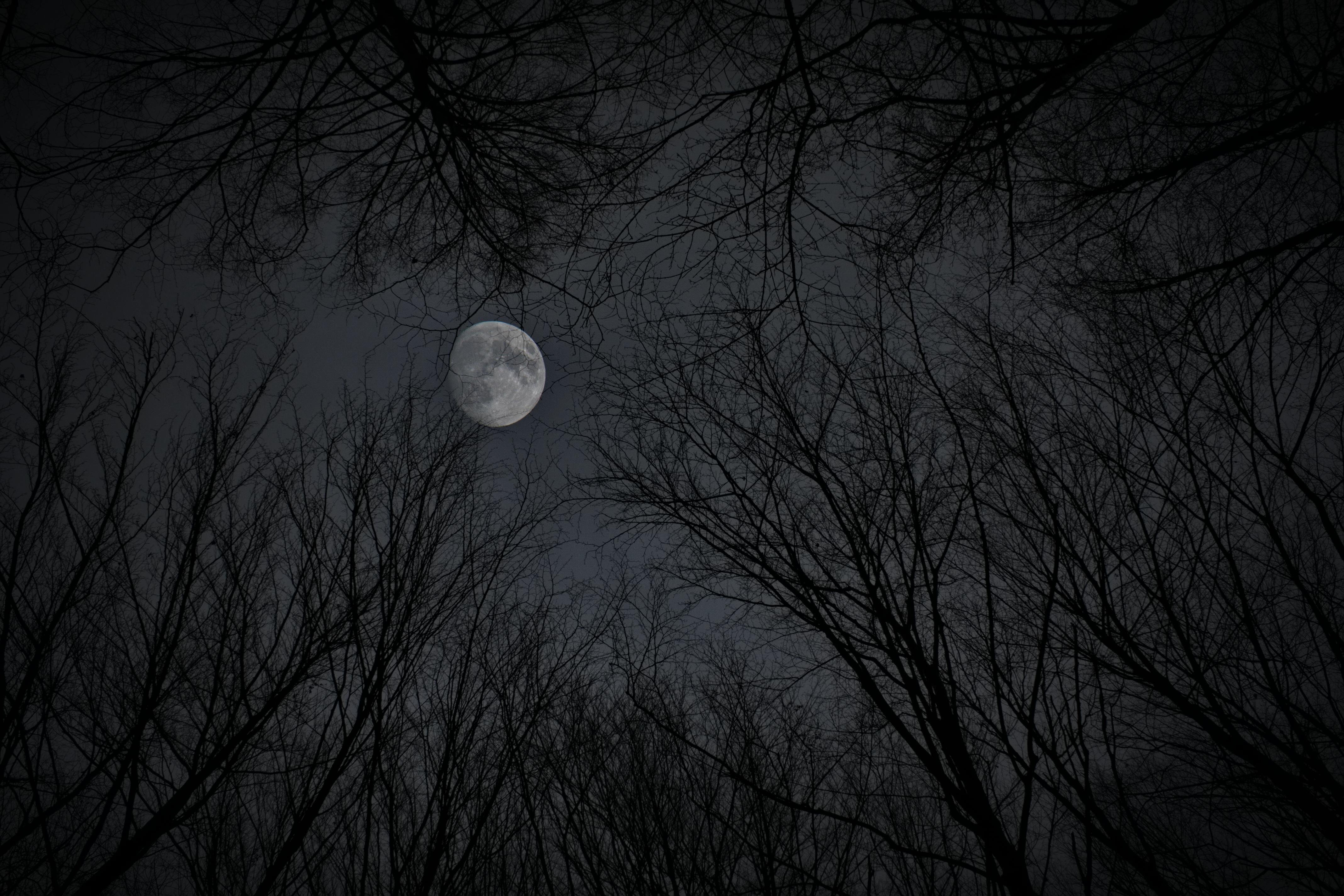 A spooky moon